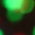 Bokeh-360
